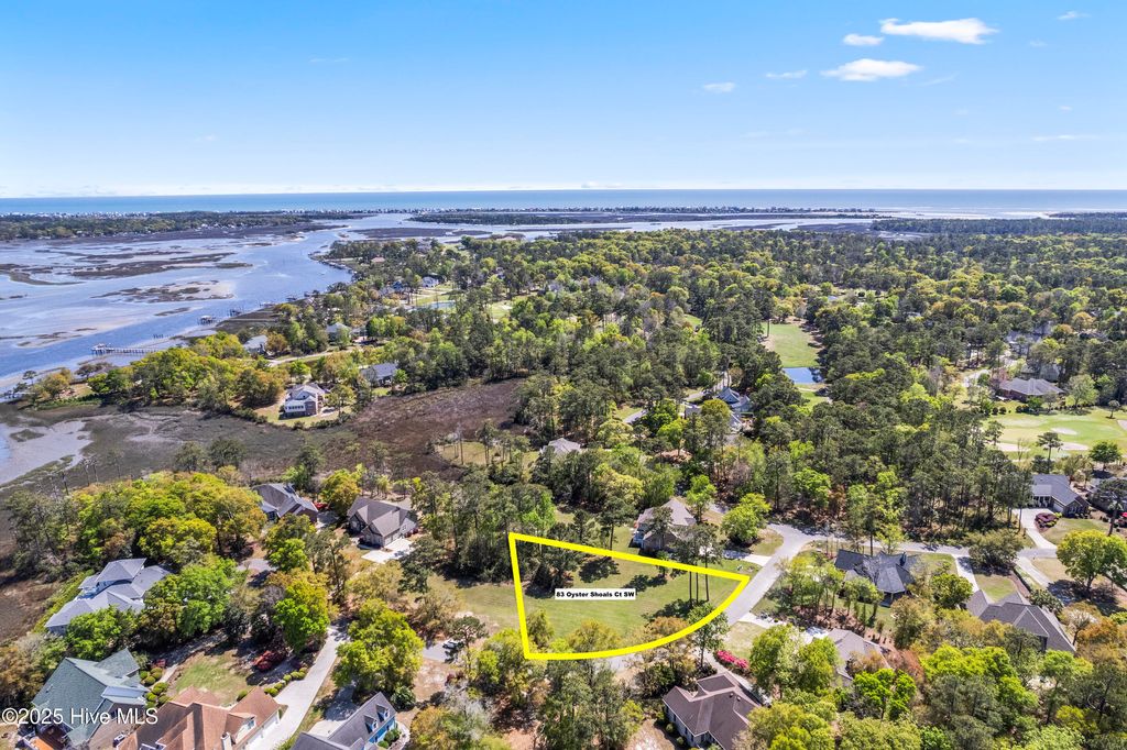 Photo of 83 Oyster Shoals Court SW, Supply, NC 28462 (MLS # 100502149)