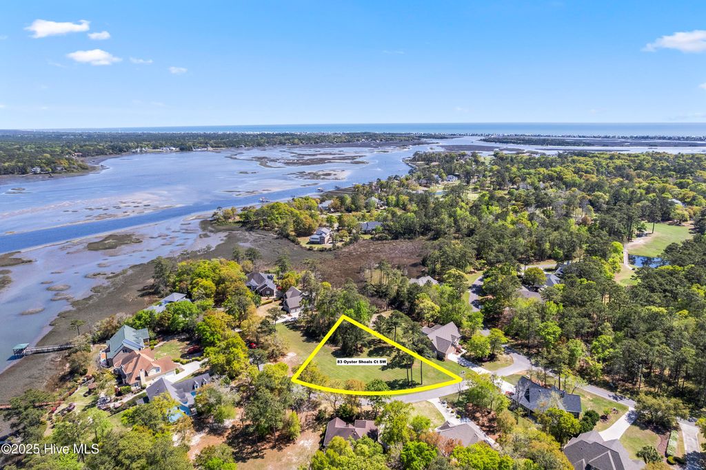 Photo of 83 Oyster Shoals Court SW, Supply, NC 28462 (MLS # 100502149)