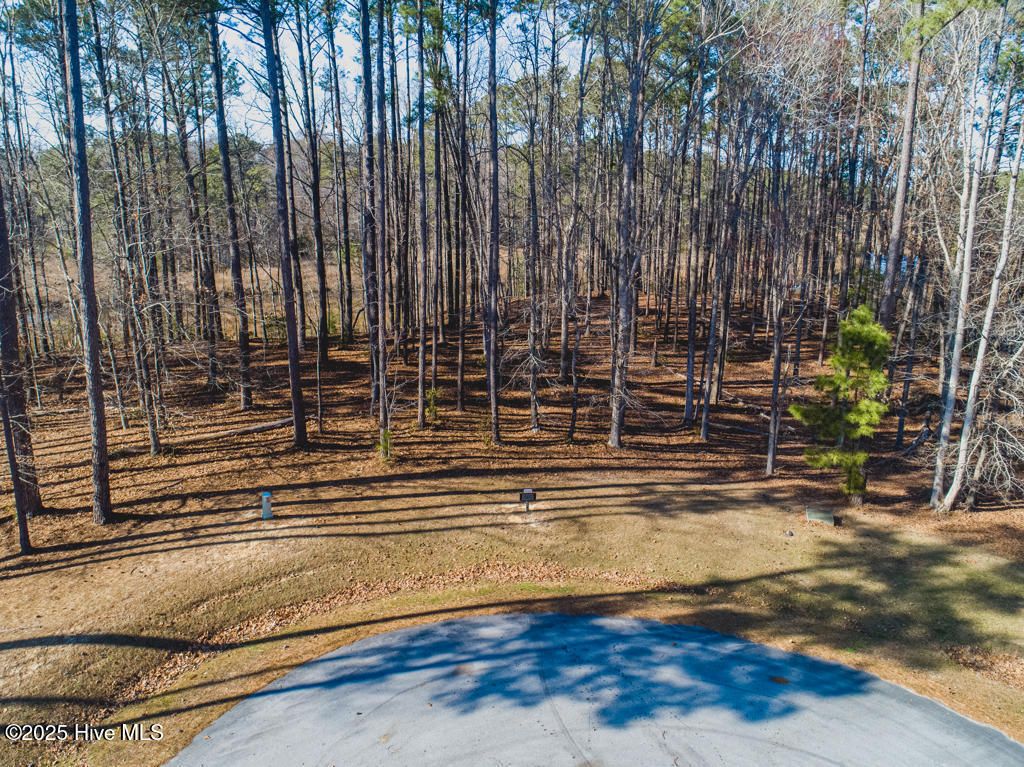 Photo of 213 Golden Fern Lane, Minnesott Beach, NC 28510 (MLS # 100451913)