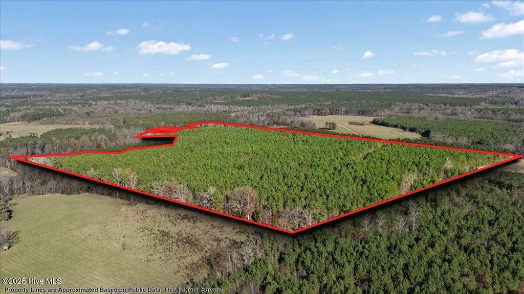 Photo of 35895 Nc 561, Hollister, NC 27844 (MLS # 100543671)