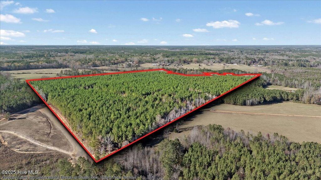 Photo of 35895 Nc 561, Hollister, NC 27844 (MLS # 100543671)