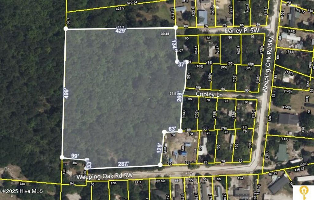 Photo of 531 Weeping Oak Road SW, Supply, NC 28462 (MLS # 100498741)