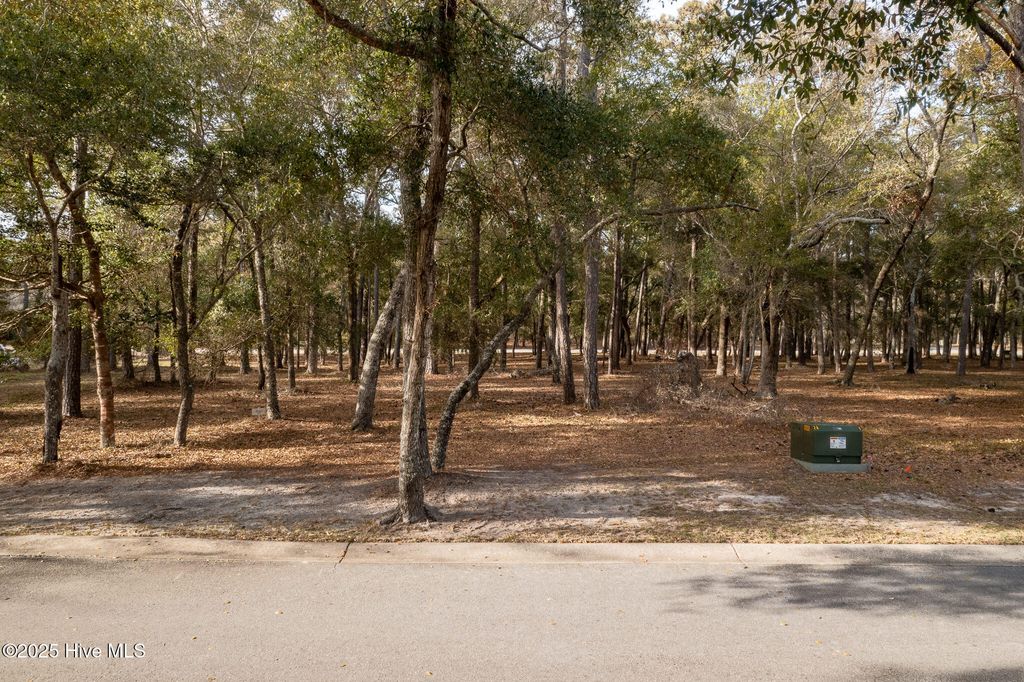 Photo of 678 Beaufain Street SW, Supply, NC 28462 (MLS # 100534404)
