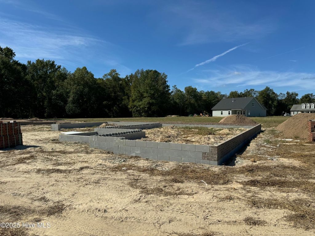 Photo of 3684 Drew Farmer Road, La Grange, NC 28551 (MLS # 100537075)