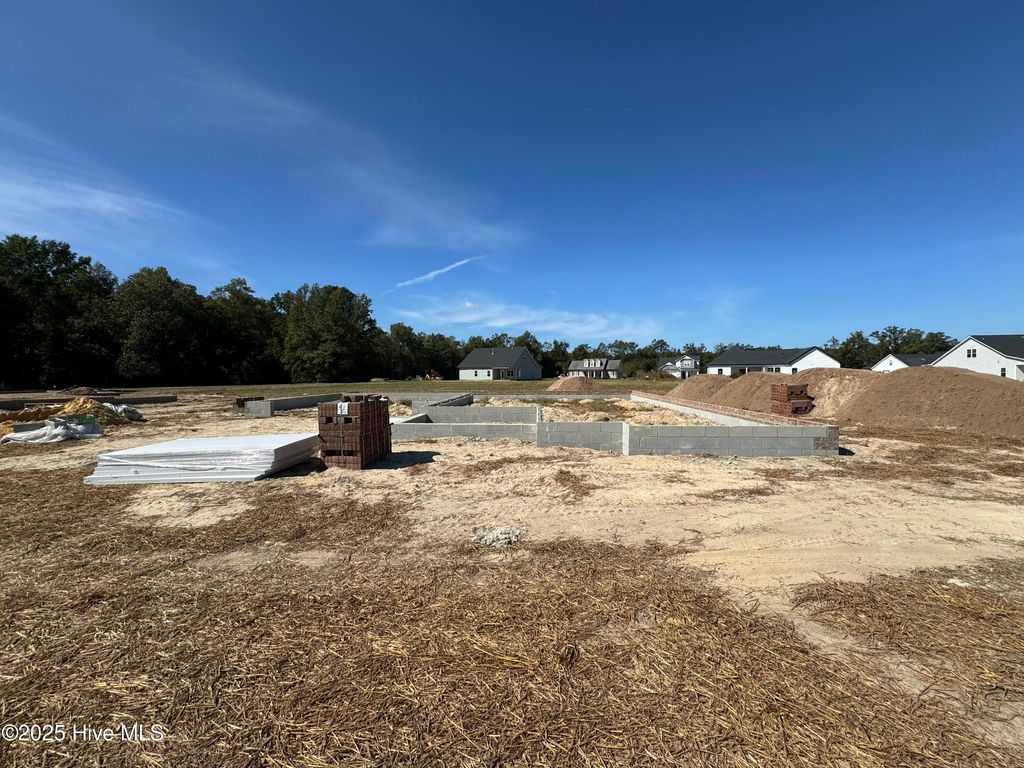 Photo of 3684 Drew Farmer Road, La Grange, NC 28551 (MLS # 100537075)