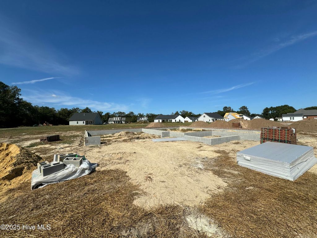 Photo of 3684 Drew Farmer Road, La Grange, NC 28551 (MLS # 100537075)