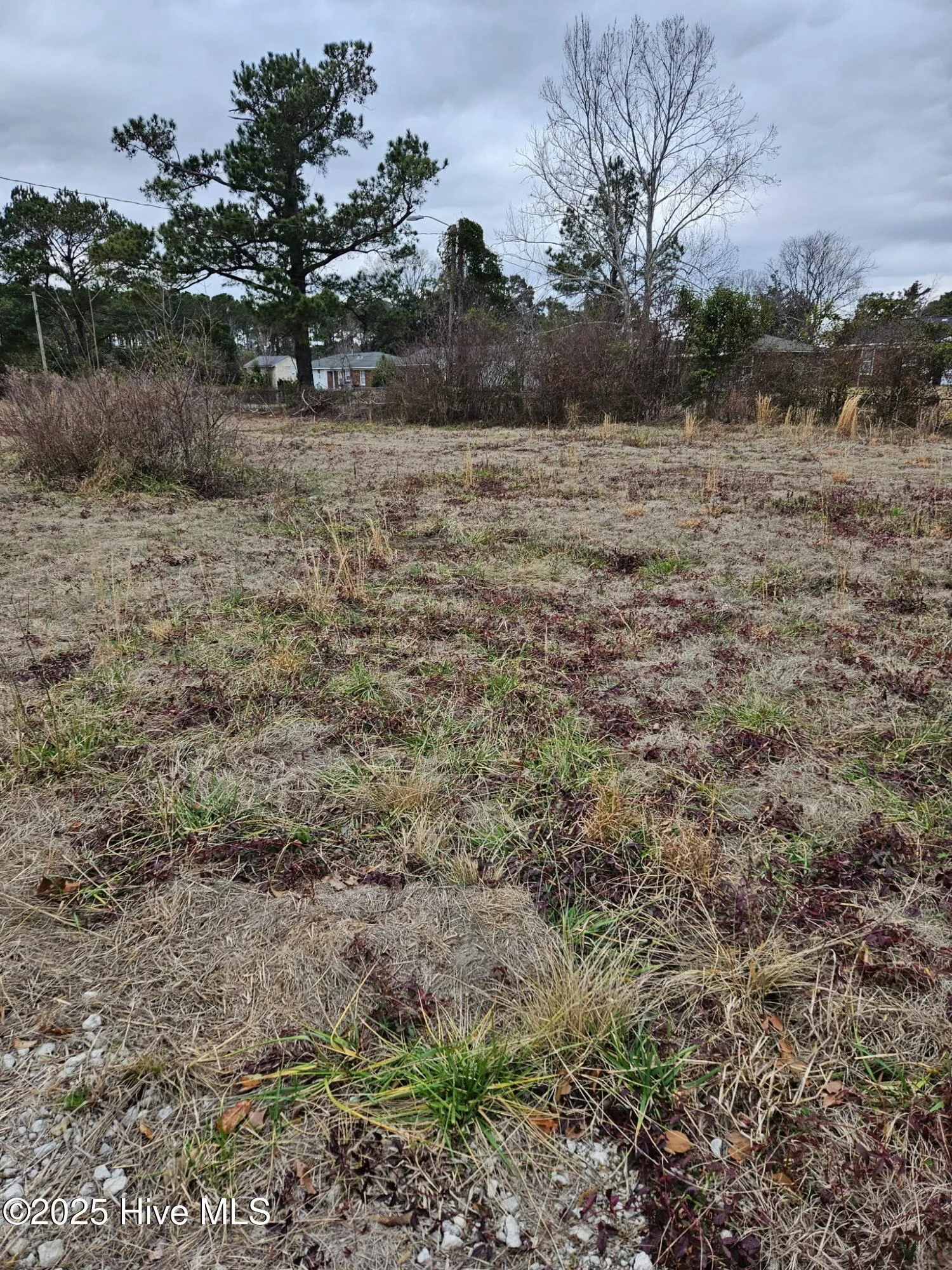 Wilmington, North Carolina 28405, United States, ,Land,Pending,7873