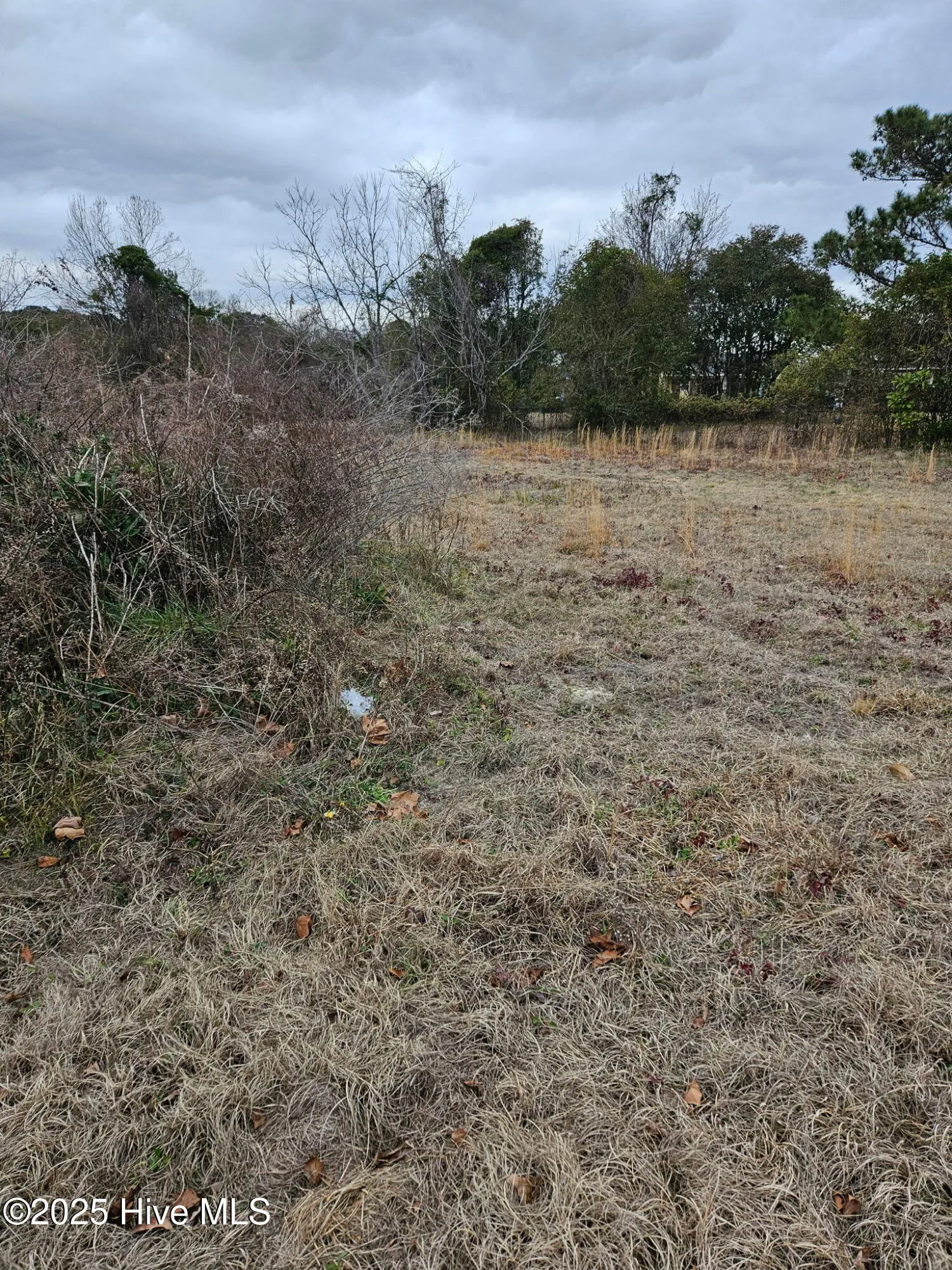 Wilmington, North Carolina 28405, United States, ,Land,Pending,7873