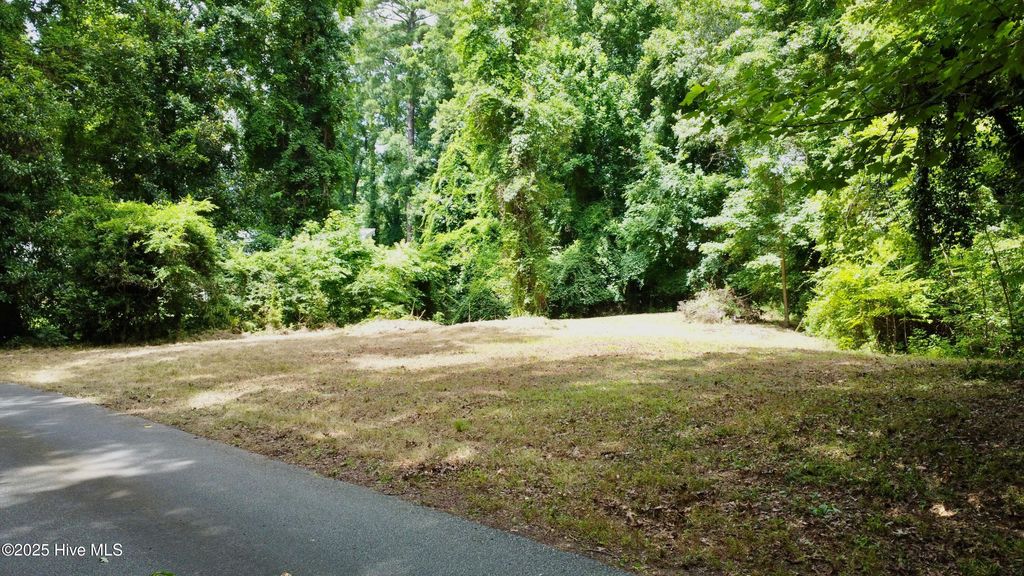 Photo of 0 Azalea Drive, Washington, NC 27889 (MLS # 100521993)