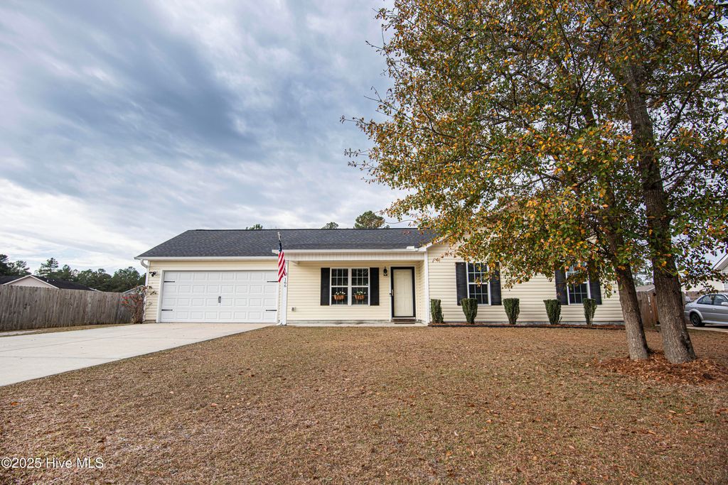 Photo of 166 Ashbury Park Lane, Richlands, NC 28574 (MLS # 100543253)