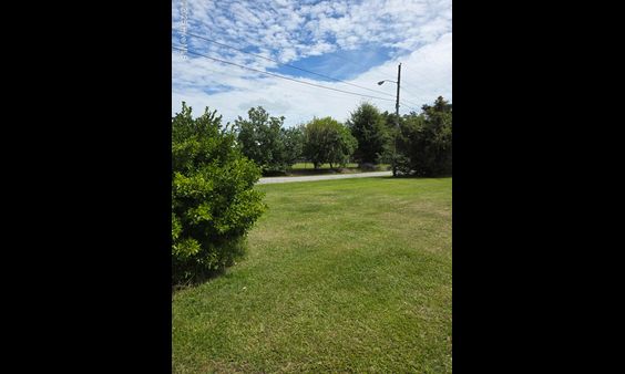 Vacant Land For Sale - Parcels 20490, 20494, 10921<br/> Ayden, NC 28513