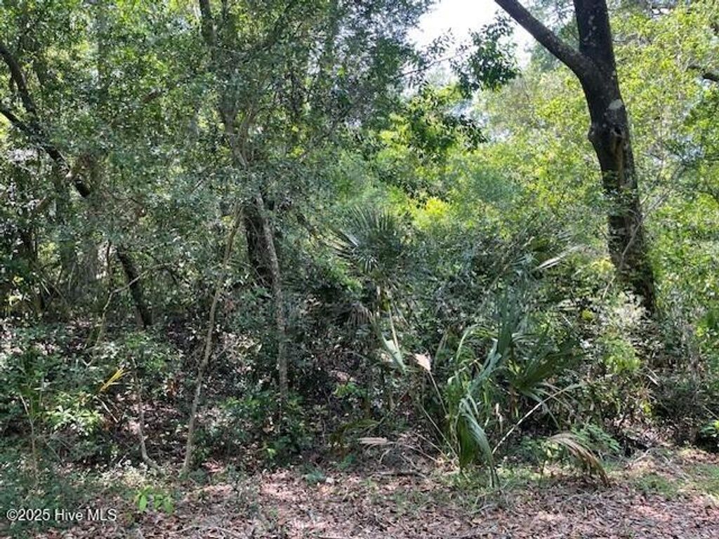 Photo of 102 Kitty Hawk Way, Bald Head Island, NC 28461 (MLS # 100531081)