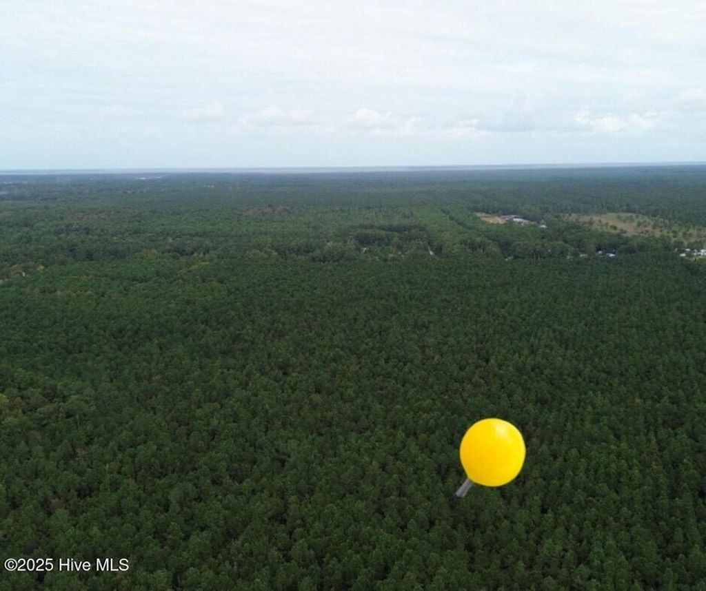 Photo of 580 Straits Road, Gloucester, NC 28528 (MLS # 100537435)