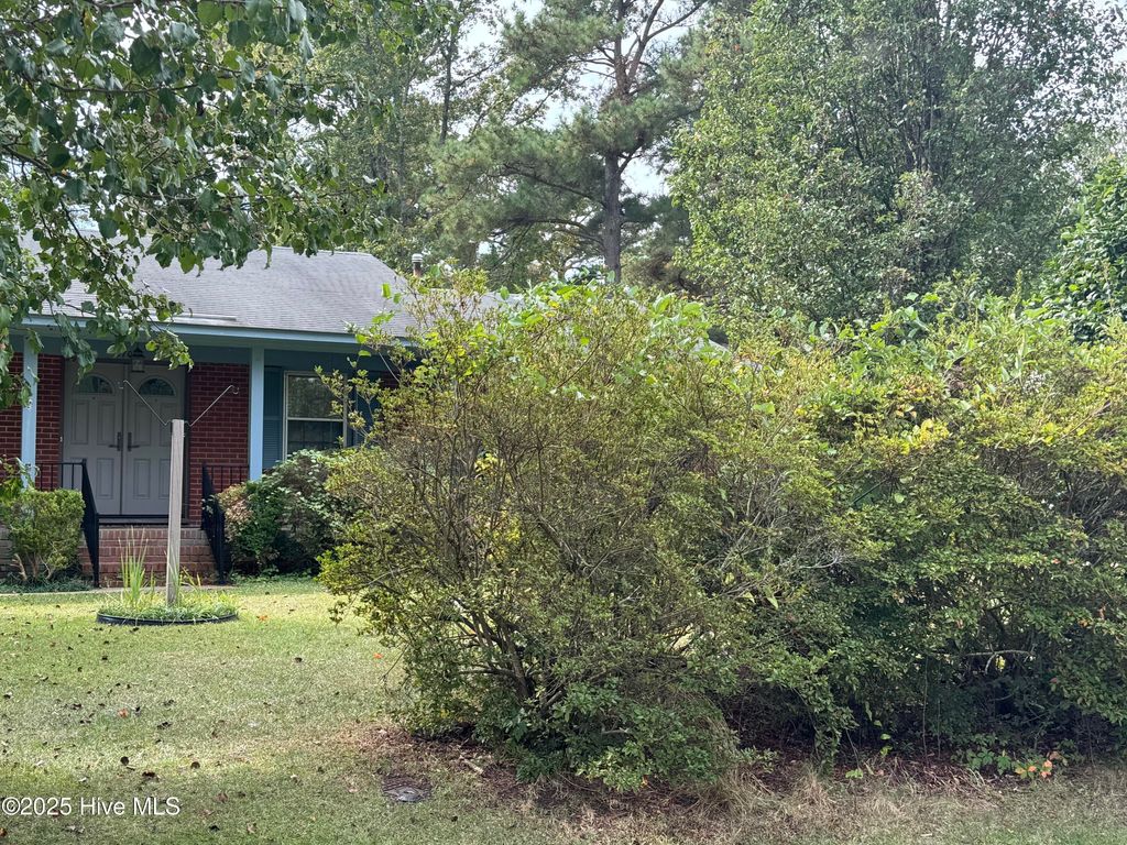 Photo of 3708 Clayton Place, Tarboro, NC 27886 (MLS # 100536056)