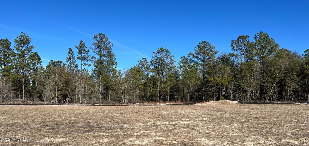 Photo of 2780 W Timber Crest Lane NE, Leland, NC 28451 (MLS # 100485653)
