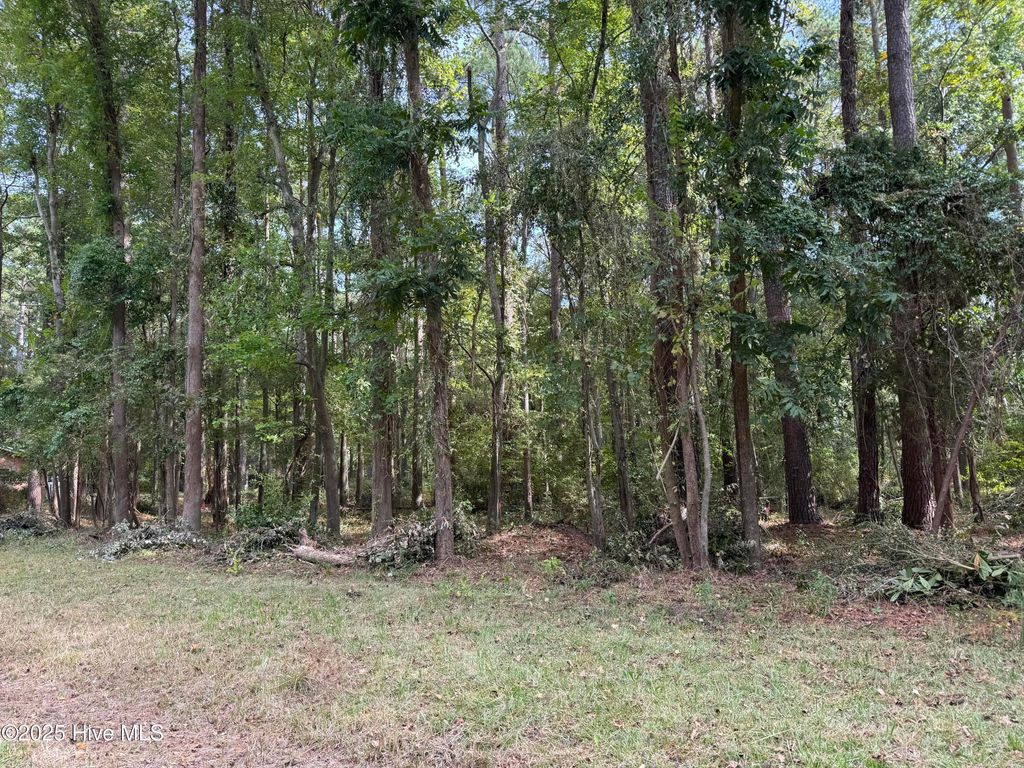 Photo of 257 Clark Road, Bath, NC 27808 (MLS # 100544162)