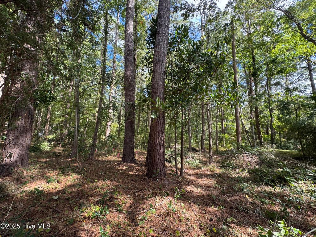 Photo of 257 Clark Road, Bath, NC 27808 (MLS # 100544162)