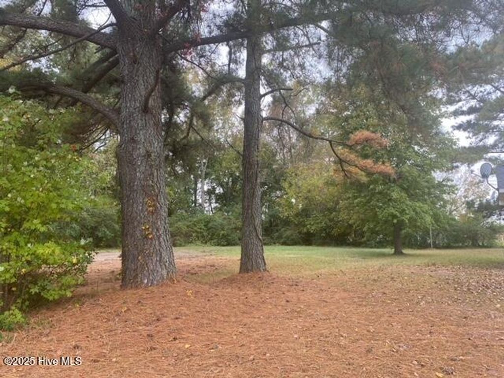 Photo of 413 Pecan Street, Robersonville, NC 27871 (MLS # 100544118)