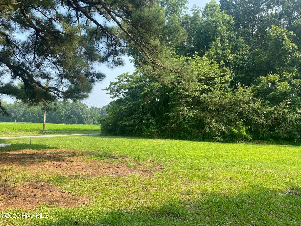 Photo of 413 Pecan Street, Robersonville, NC 27871 (MLS # 100544118)