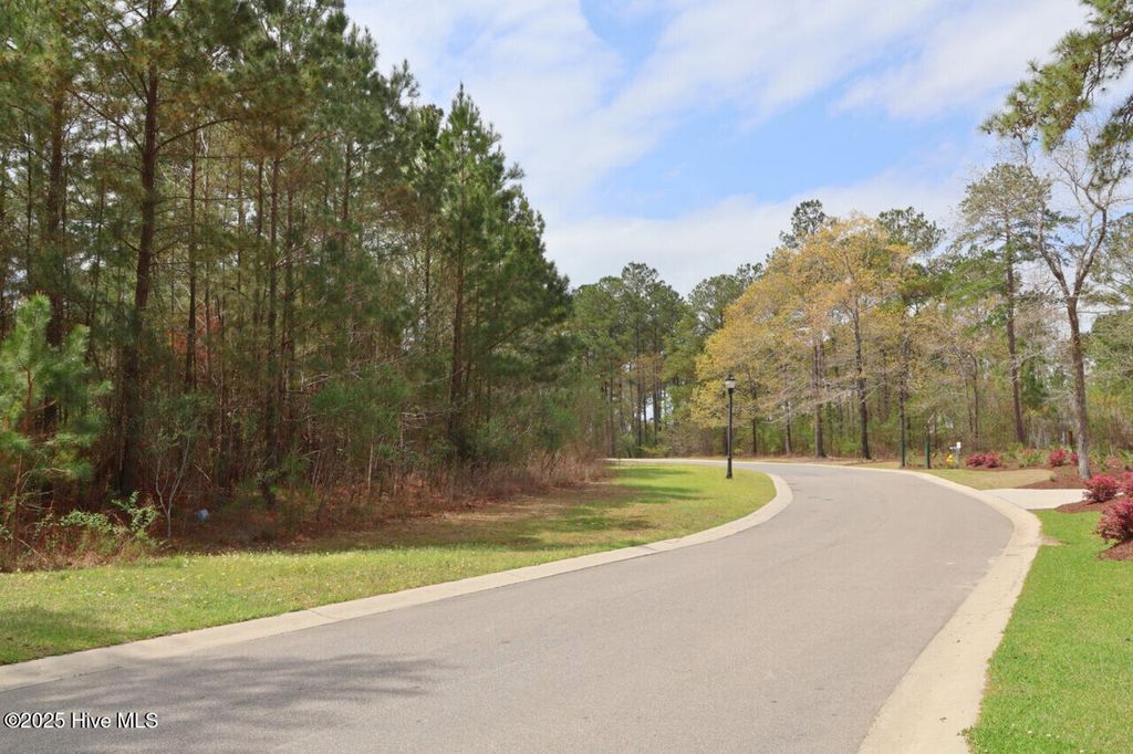 Photo of 9319 Fallen Pear Lane NE, Leland, NC 28451 (MLS # 100501196)