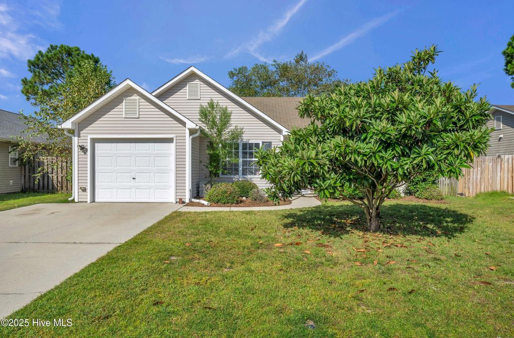 Photo of 1151 Amber Pines Drive, Leland, NC 28451 (MLS # 100531255)