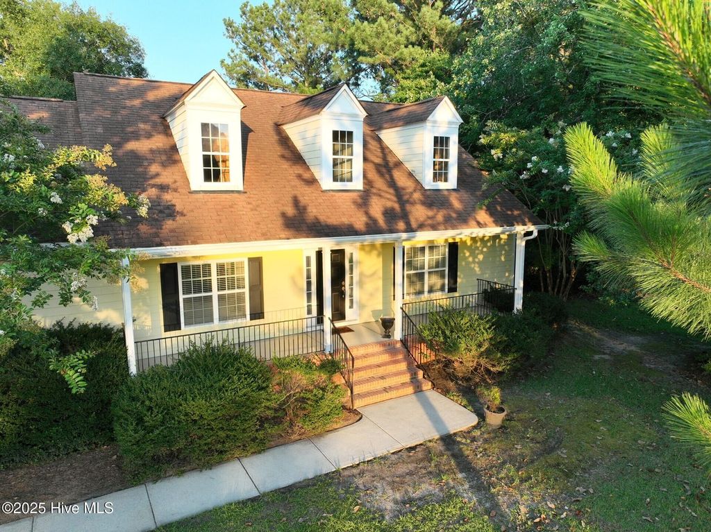 Photo of 48 Blue Heron Drive, Harrells, NC 28444 (MLS # 100519103)