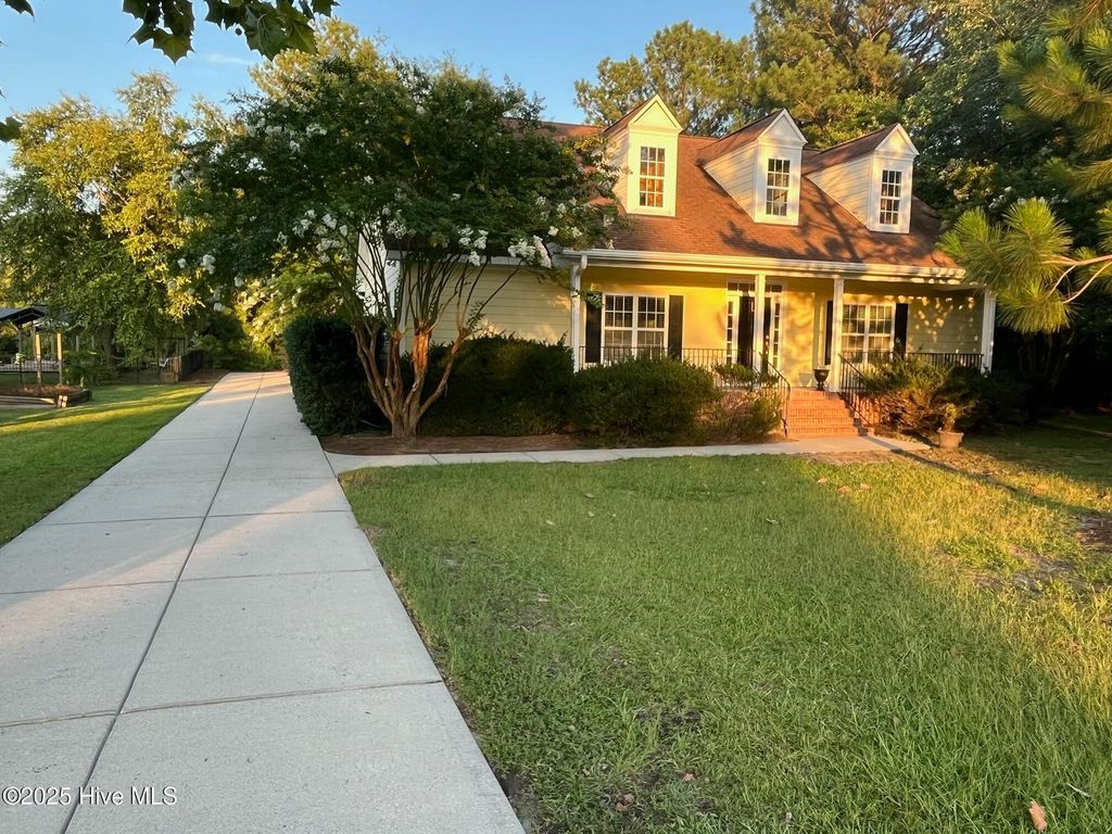 Photo of 48 Blue Heron Drive, Harrells, NC 28444 (MLS # 100519103)