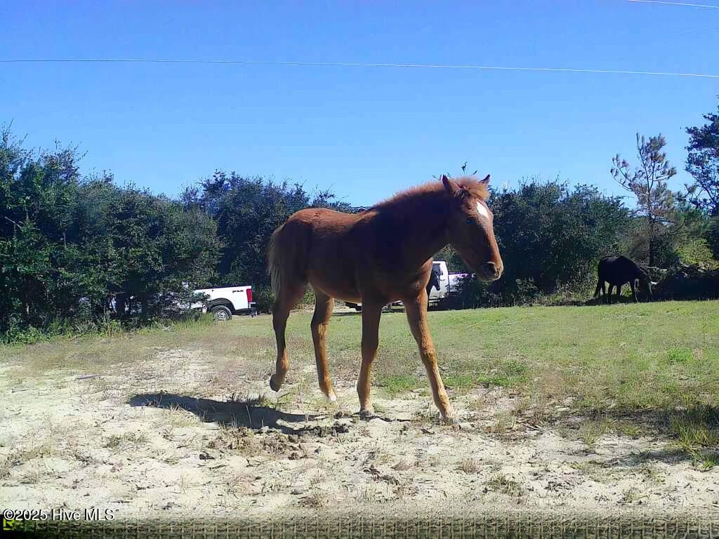 Photo of 2126 Sandpiper Road, Corolla, NC 27927 (MLS # 100539004)