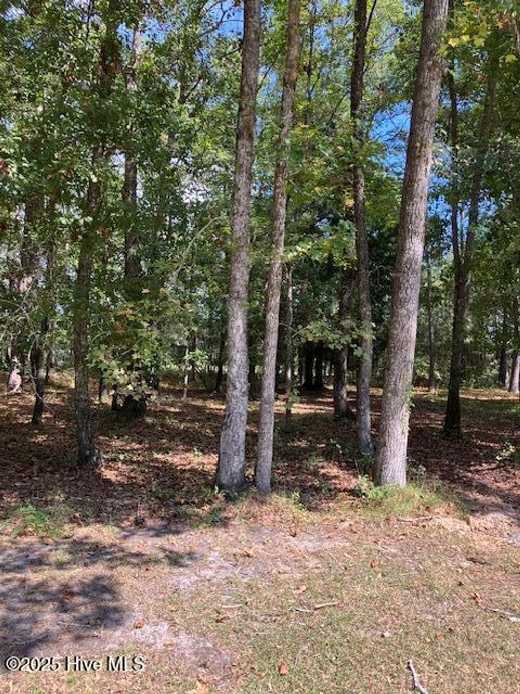 Photo of 471 Shiloh Lane SE, Bolivia, NC 28422 (MLS # 100532963)