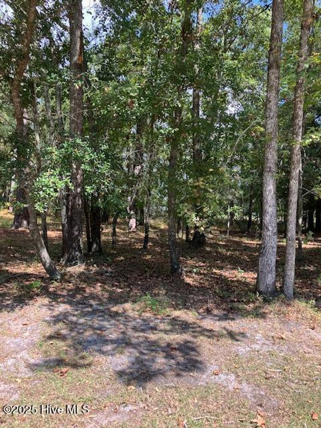 Photo of 471 Shiloh Lane SE, Bolivia, NC 28422 (MLS # 100532963)