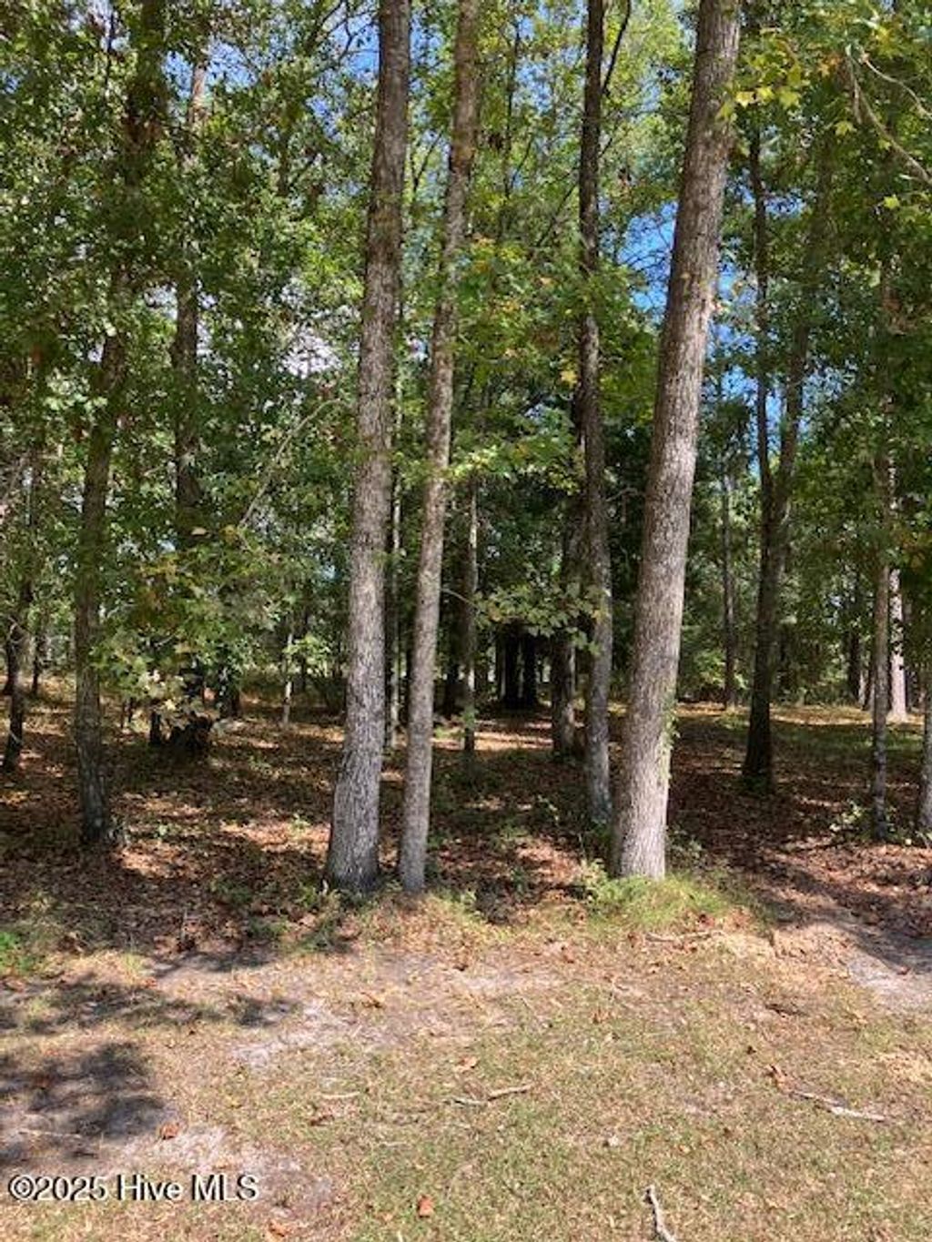 Photo of 471 Shiloh Lane SE, Bolivia, NC 28422 (MLS # 100532963)