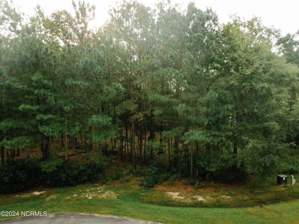 Photo of 3 Alexander Drive, Belhaven, NC 27810 (MLS # 100463139)