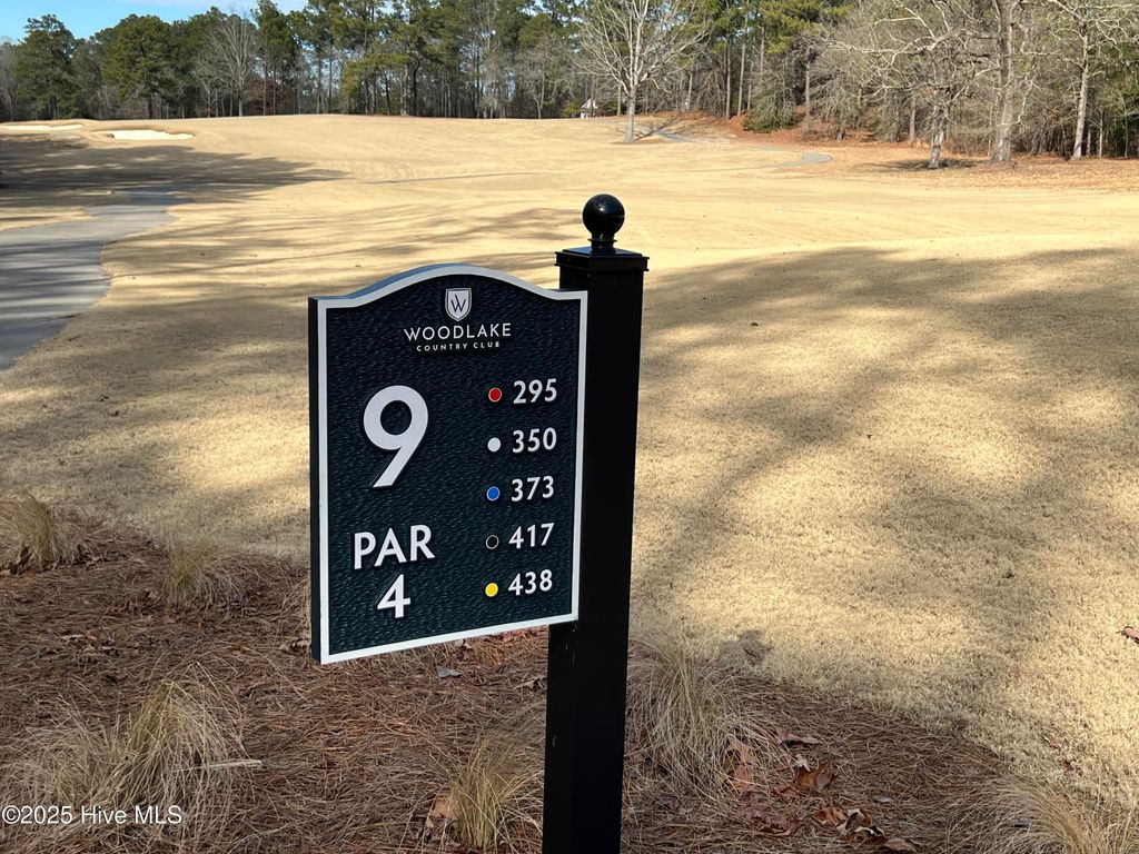 Photo of 433 Thimbleberry Drive, Vass, NC 28394 (MLS # 100483231)