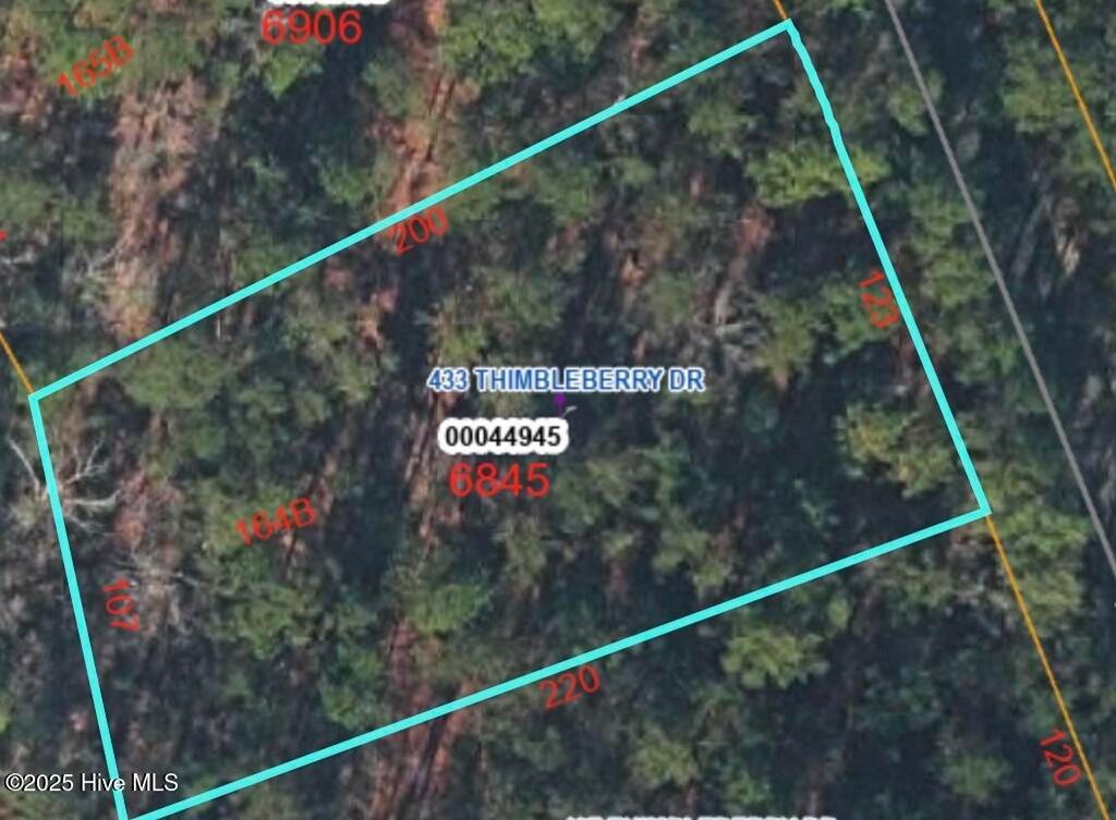 Photo of 433 Thimbleberry Drive, Vass, NC 28394 (MLS # 100483231)
