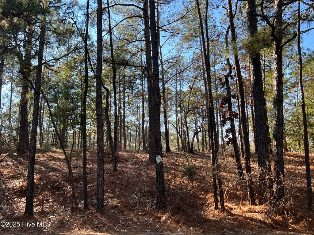 Photo of 433 Thimbleberry Drive, Vass, NC 28394 (MLS # 100483231)