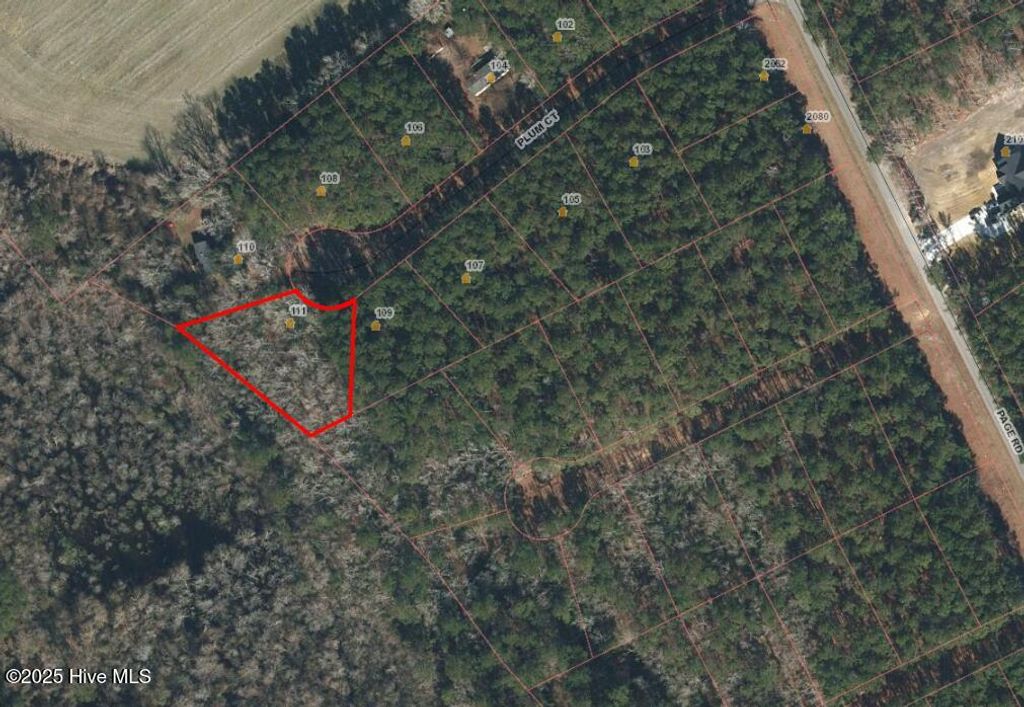 Photo of 111 Plum Court, Burgaw, NC 28425 (MLS # 100511480)