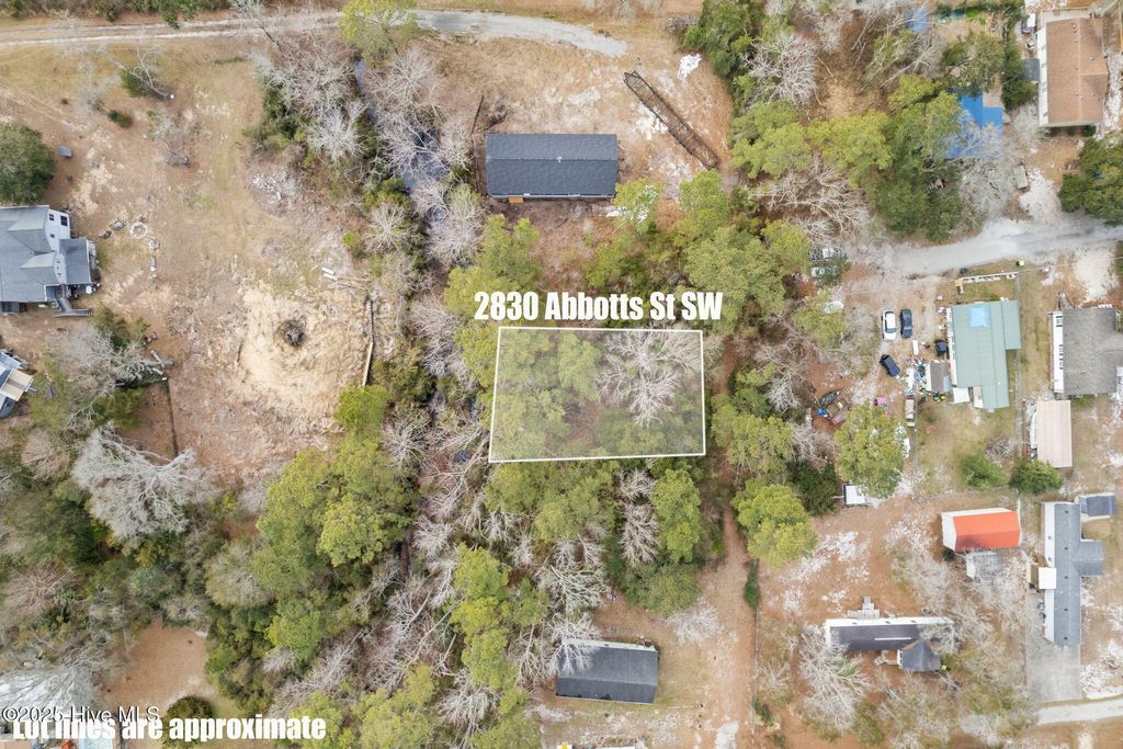 Photo of 2830 Abbotts Street SW, Supply, NC 28462 (MLS # 100493006)