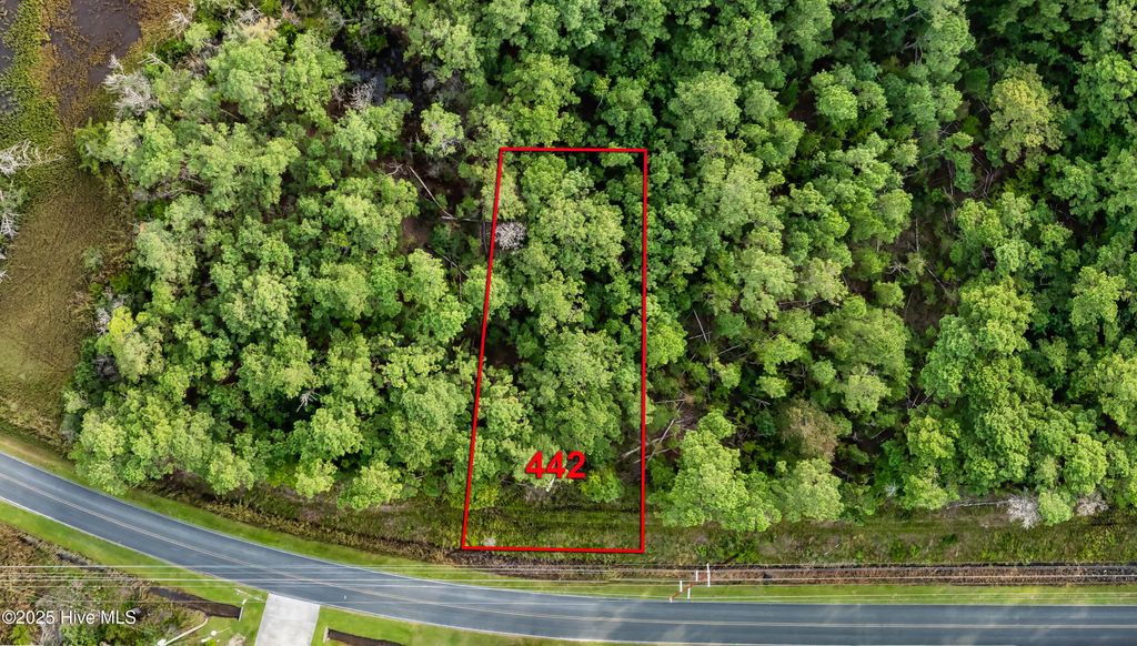 Photo of 442 Chadwick Acres Road, Sneads Ferry, NC 28460 (MLS # 100530071)