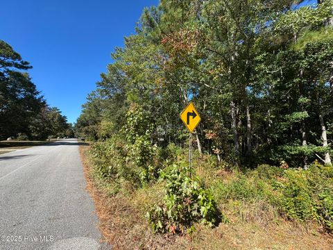 Tiny photo for 316 Masters Lane, Hampstead, NC 28443 (MLS # 100539020)