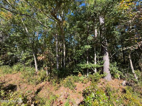 Tiny photo for 316 Masters Lane, Hampstead, NC 28443 (MLS # 100539020)