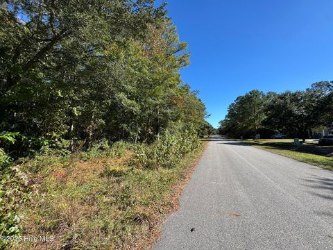 Tiny photo for 316 Masters Lane, Hampstead, NC 28443 (MLS # 100539020)