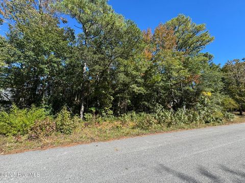 Tiny photo for 316 Masters Lane, Hampstead, NC 28443 (MLS # 100539020)
