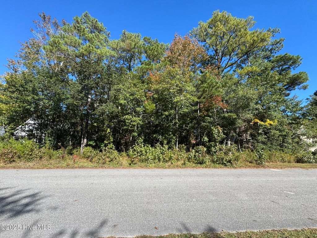 Photo of 316 Masters Lane, Hampstead, NC 28443 (MLS # 100539020)