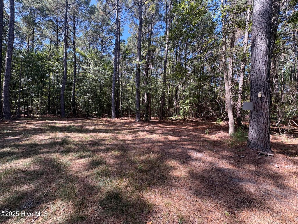 Photo of 2 Watts Road SE, Ocean Isle Beach, NC 28469 (MLS # 100533958)