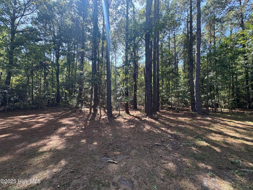 Photo of 2 Watts Road SE, Ocean Isle Beach, NC 28469 (MLS # 100533958)