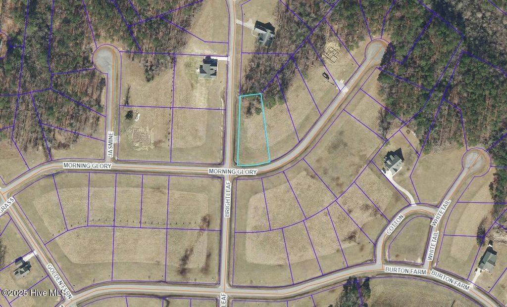 Photo of 134 N Brightleaf Drive, Minnesott Beach, NC 28510 (MLS # 100541192)