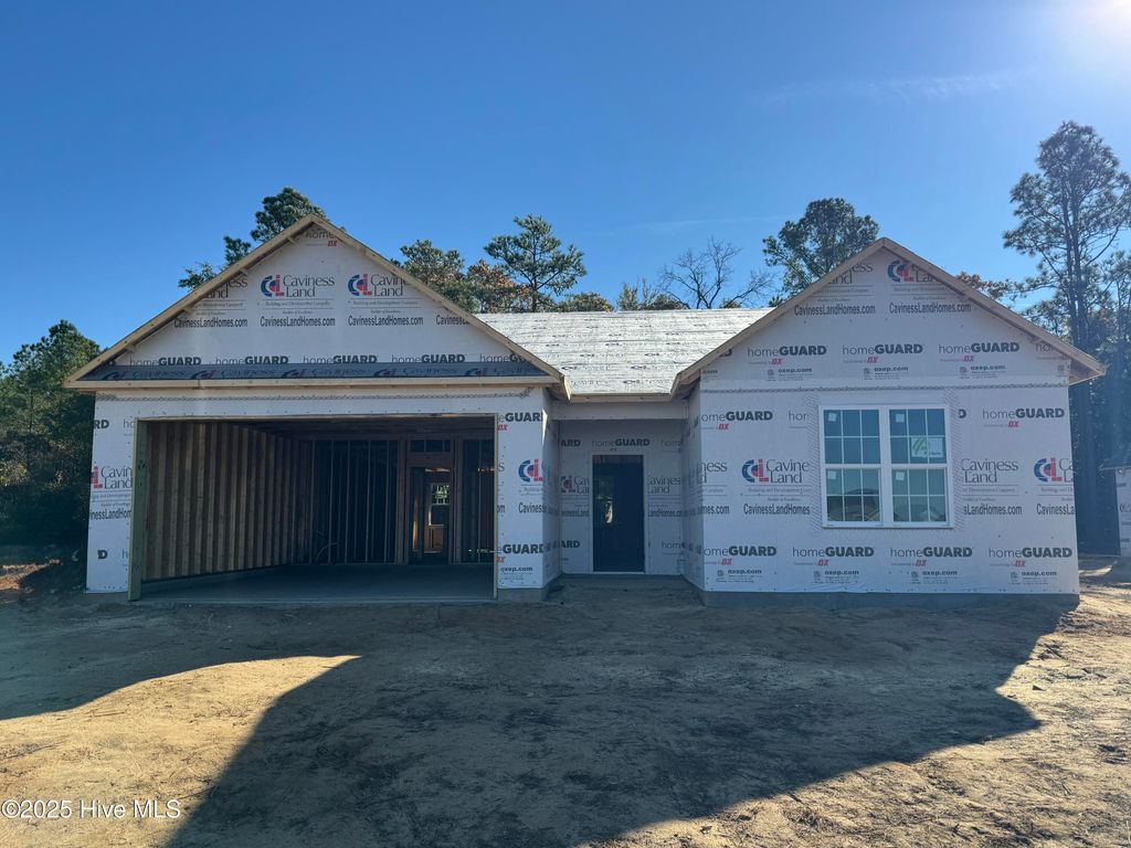 Photo of 374 Sacksonia Street, Raeford, NC 28376 (MLS # 100539597)
