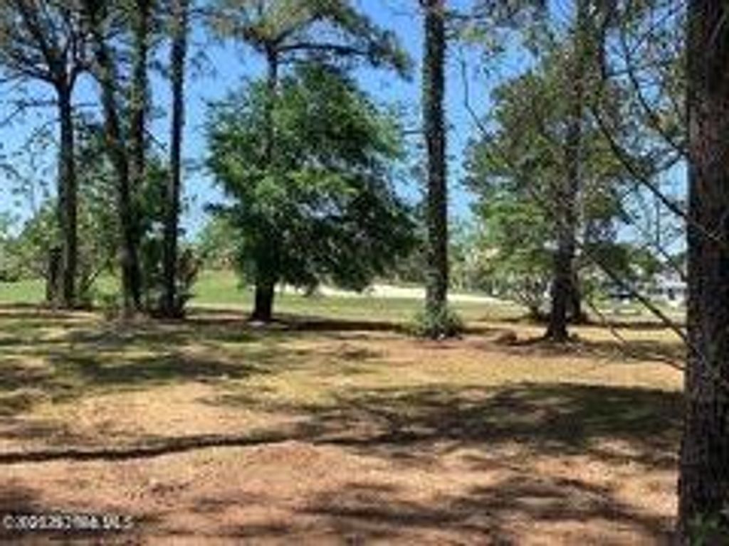 Photo of 3190 Beaver Creek Drive SE, Southport, NC 28461 (MLS # 100535069)
