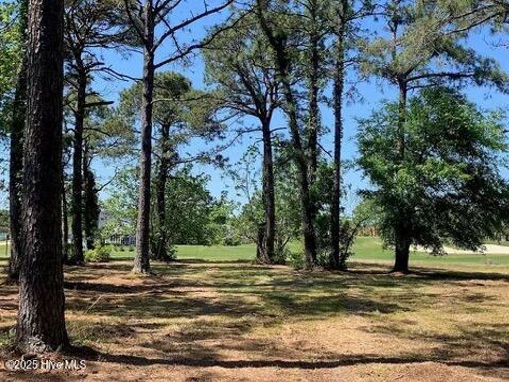 Photo of 3190 Beaver Creek Drive SE, Southport, NC 28461 (MLS # 100535069)