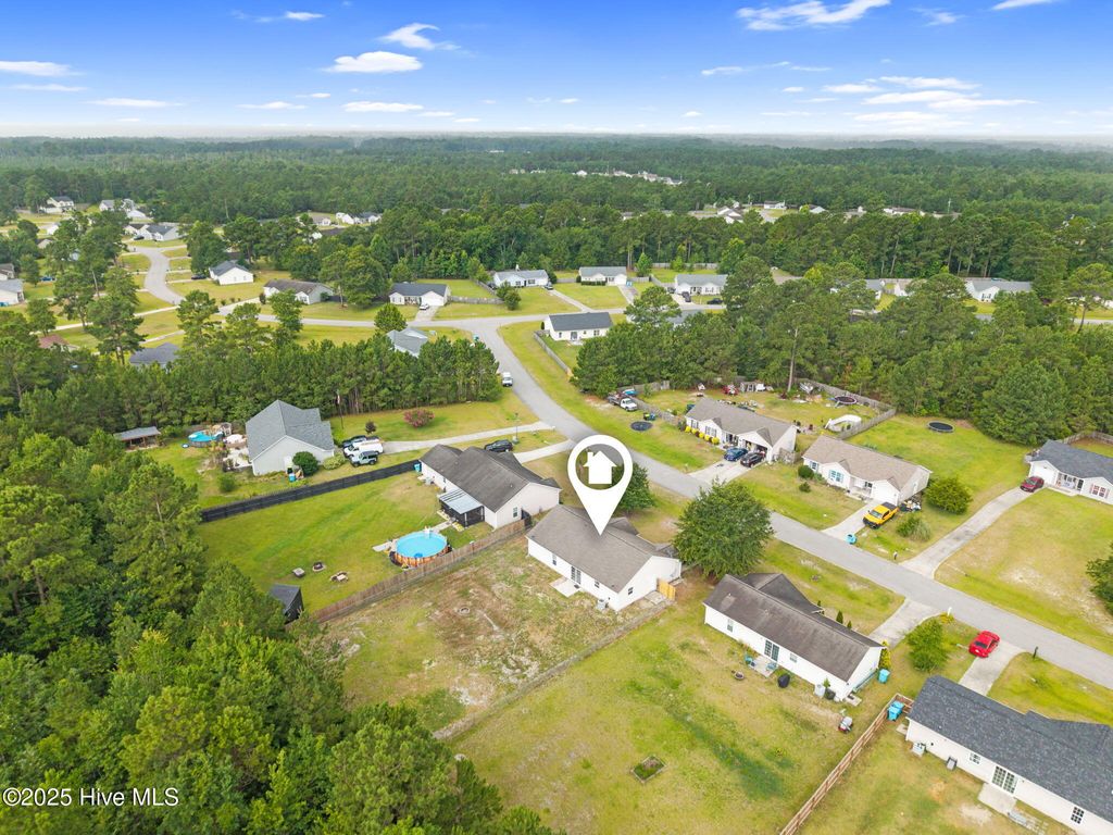 Photo of 308 Snow Bell Court, Richlands, NC 28574 (MLS # 100517442)